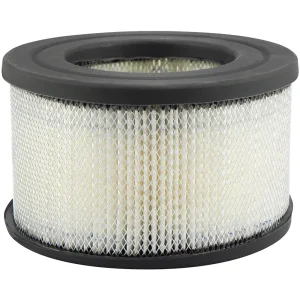 Baldwin Filter PA4166 Air filter