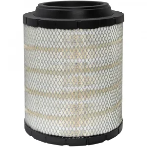 Baldwin RS4968 Air Filter