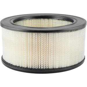 Baldwin PA1719 Air Filter