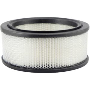 Baldwin PA699 Air Filter