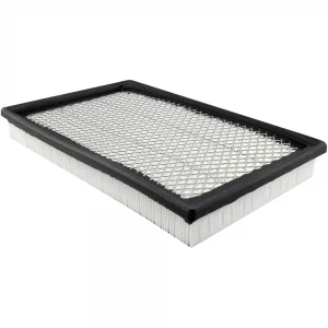 Baldwin PA2230 Air Filter