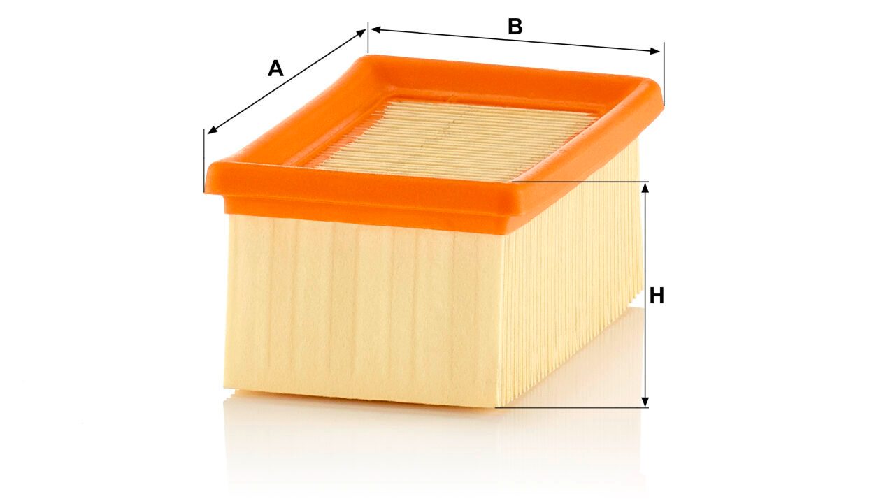 Mann C 1320 Air Filter C1320