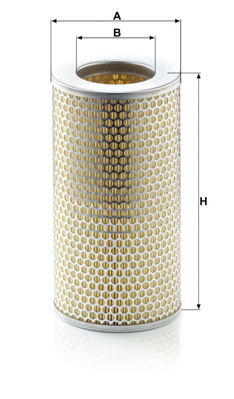 Mann C 15 163/1 Air Filter C151631