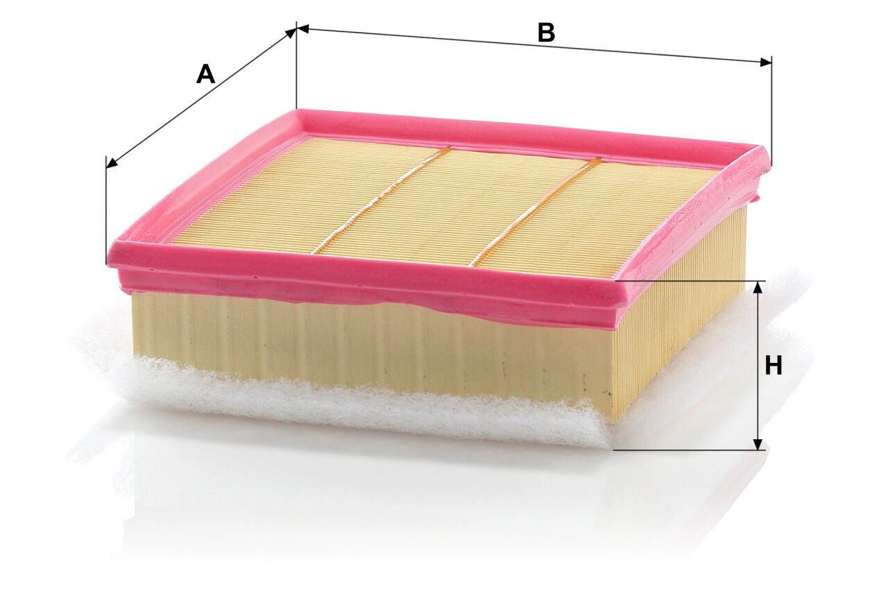 Mann C 20 106/1 Air Filter C201061