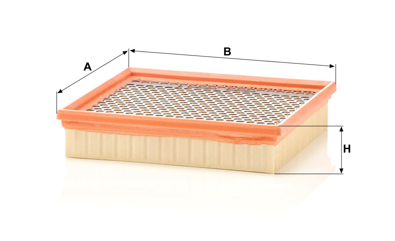 Mann C 22 029 Air Filter C22029