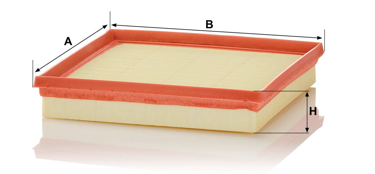 Mann C 22 038 Air Filter C22038