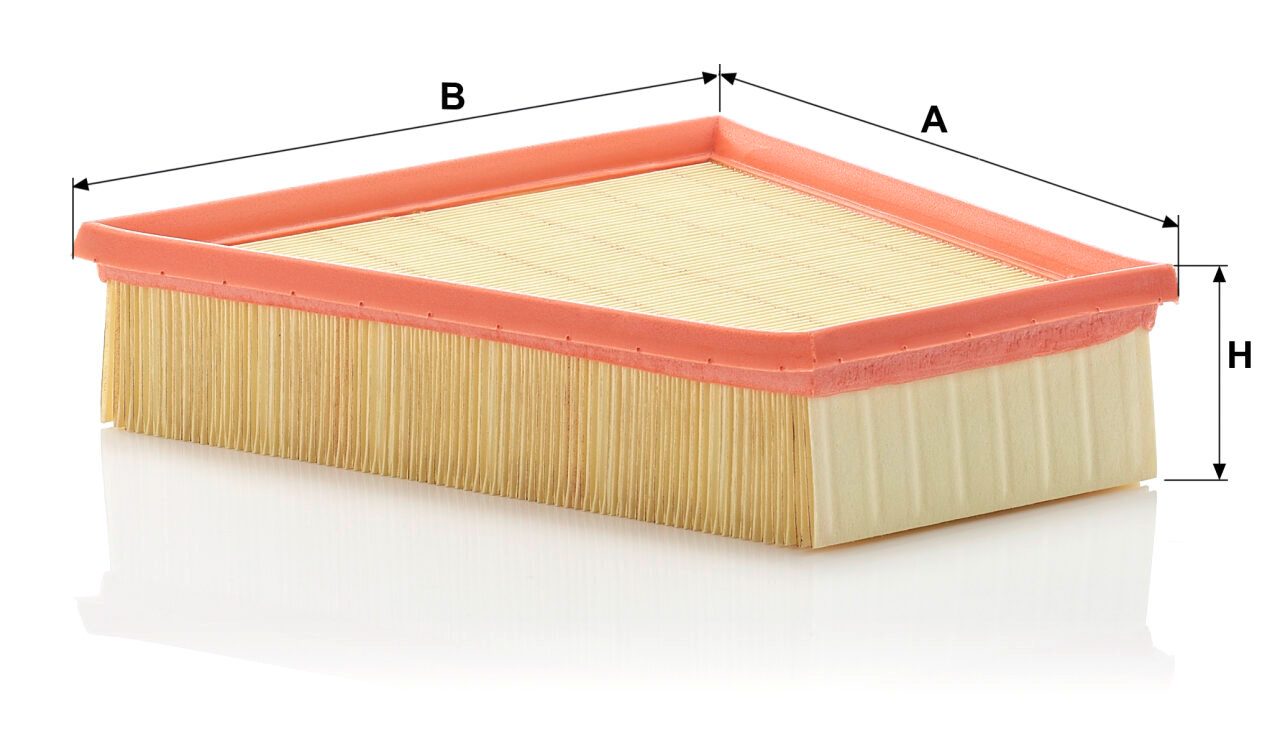 Mann C 2295/2 Air Filter C22952