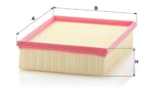 Mann C 24 123/2 Air Filter C241232
