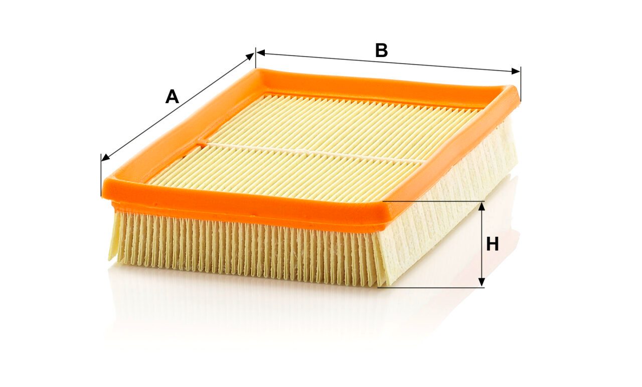 Mann C 2448 Air Filter C2448