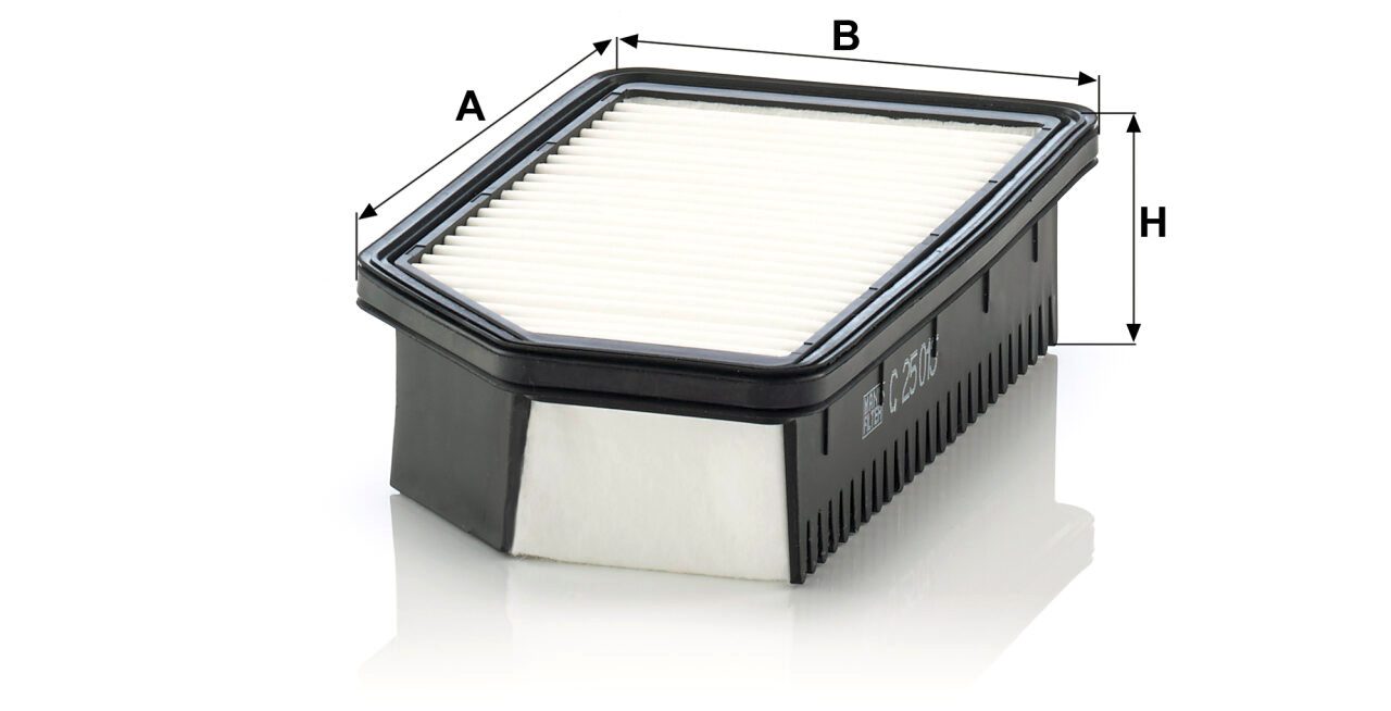 Mann C 25 013 Air Filter C25013