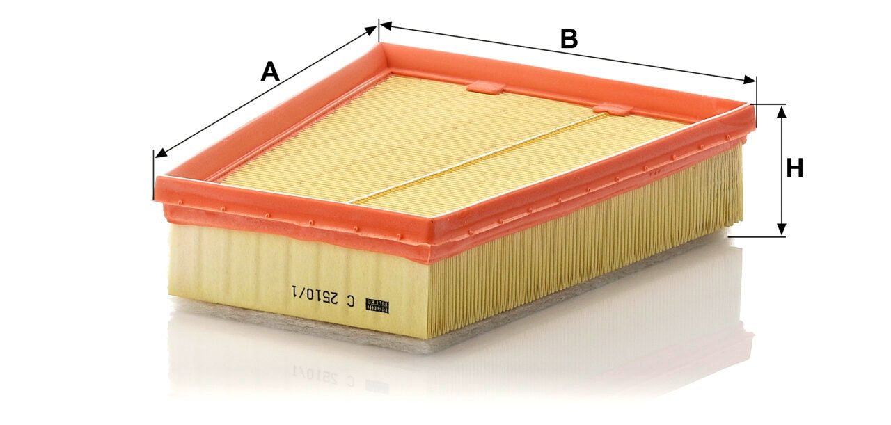 Mann C 2510/1 Air Filter C25101