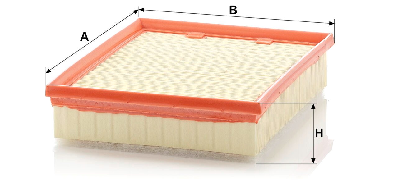 Mann C 25 109/1 Air Filter C251091