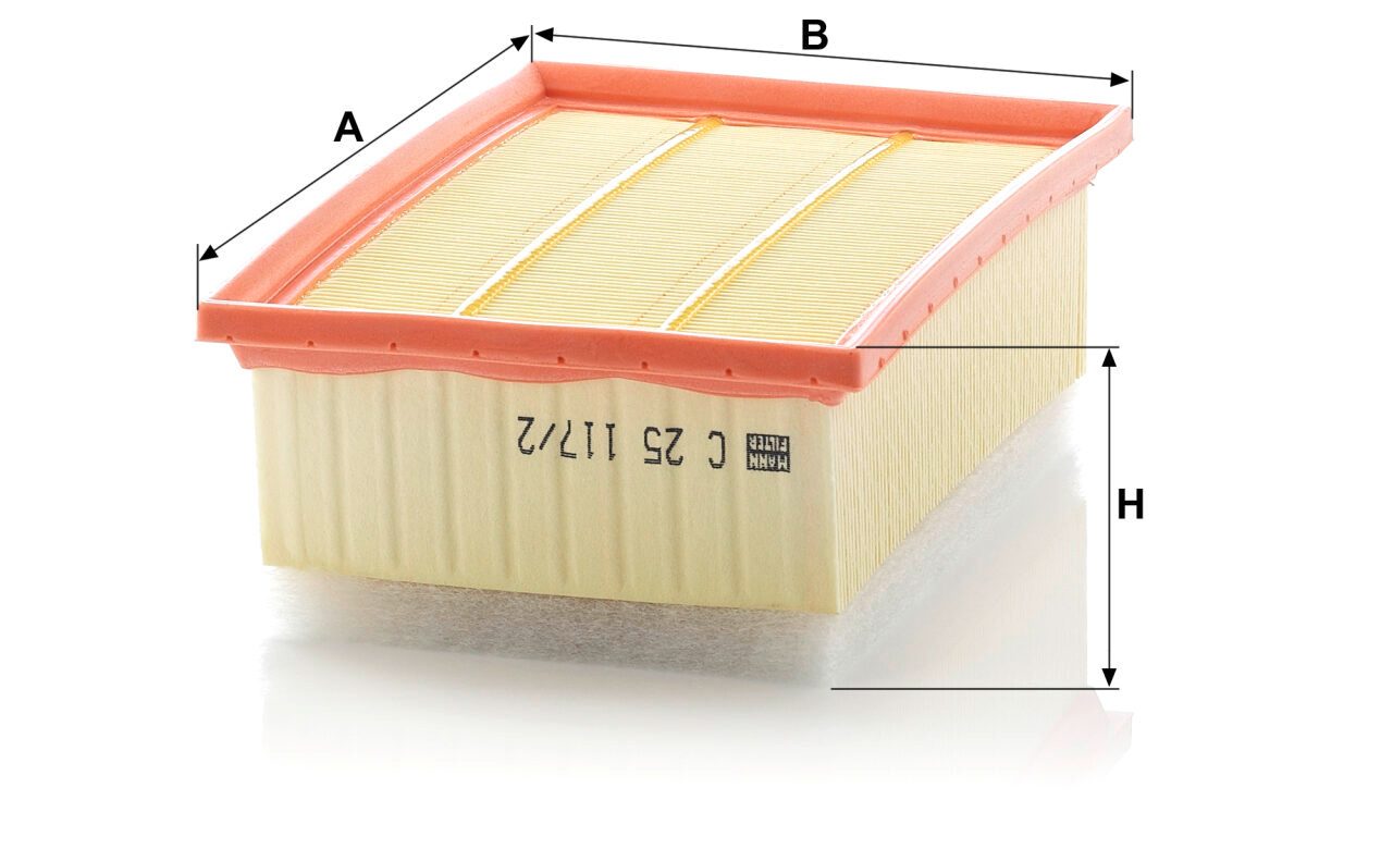 Mann C 25 117/2 Air Filter C251172