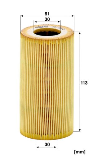 Mann HU 719/5 X Oil Filter HU7195X