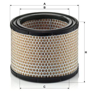 Mann C 1989/1 Air Filter C19891