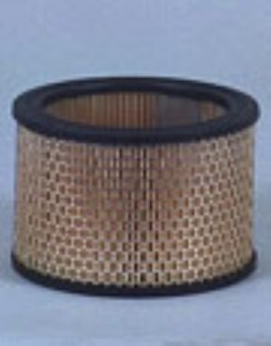 Fleetguard AF1972 Primary Air Filter