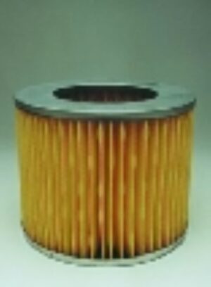 Fleetguard AF25386 Primary Air Filter