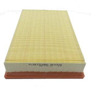 Fleetguard AF4379 Panel Air Filter