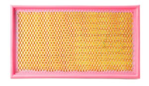 Fleetguard AF55751 Cabin Air Filter