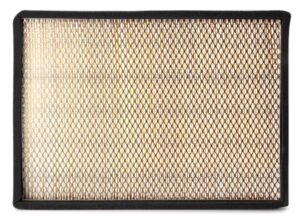 Fleetguard AF55787 Cabin Air Filter