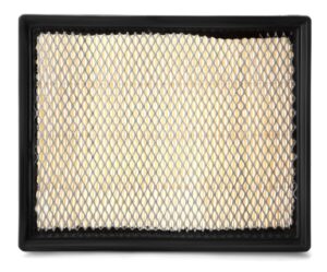 Fleetguard AF55802 Cabin Air Filter