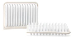 Fleetguard AF55805 Cabin Air Filter